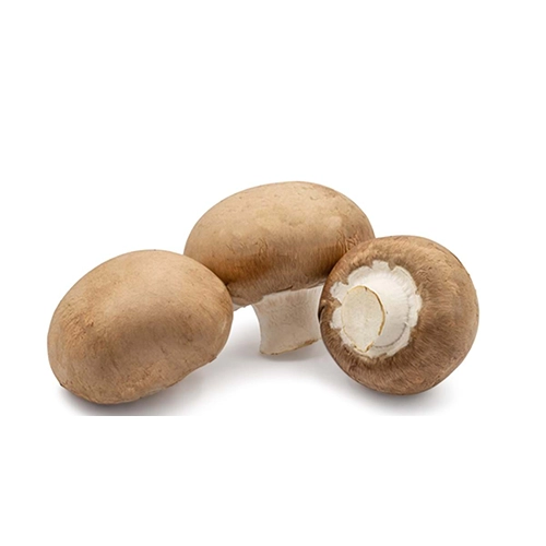 Champignon brun