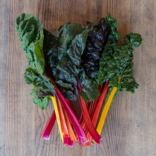 Côte de Blette Colorée