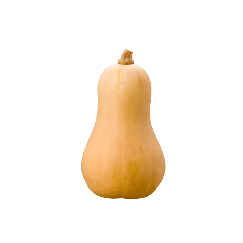 Courge butternut