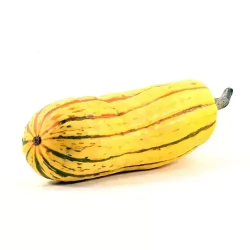 Courge delicata