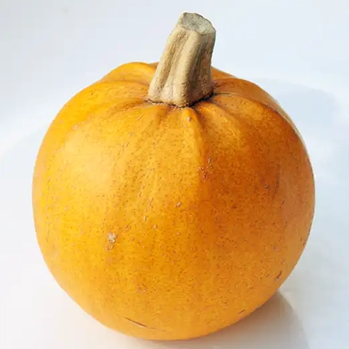 Courge Melonette de Vendee