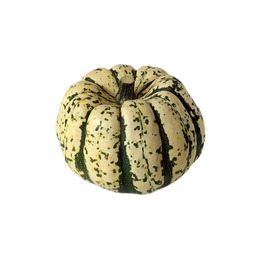 Courge Patidou