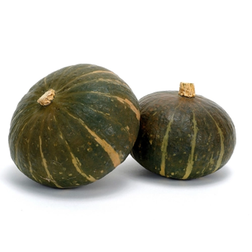 Courge vert d'Hokkaido