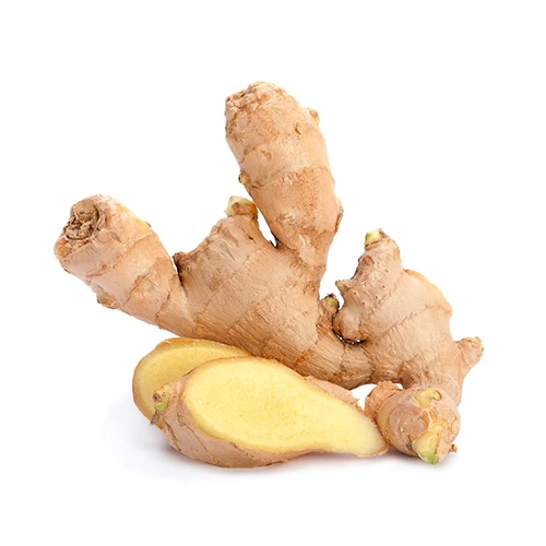 Gingembre Frais