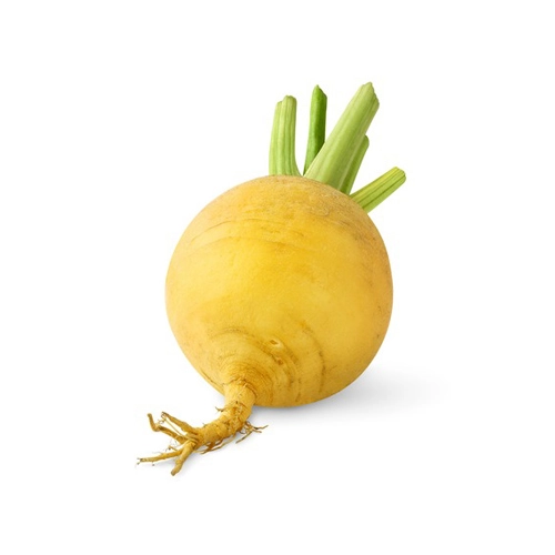 Navet boule d'or