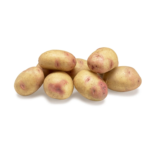 Pomme de Terre Carolus