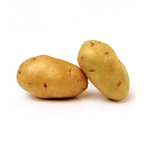 Pomme de Terre Nicola