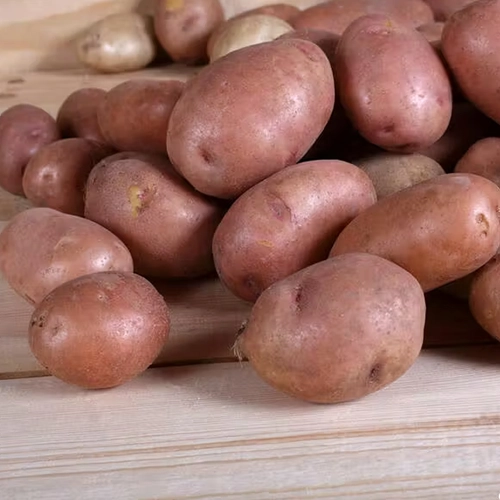 Pomme de Terre Rosabelle (polyvalente)