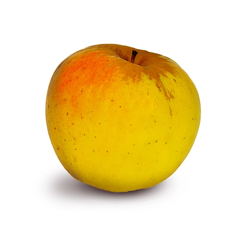 Pomme Opale