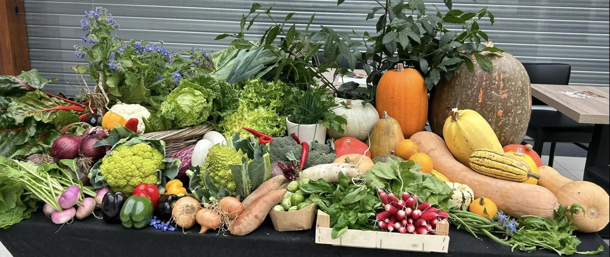 PANIER 2 à 3 personnes