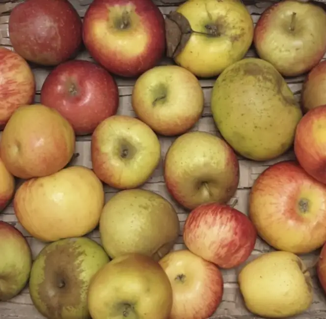 POMME DOUCE PAR 3 kg