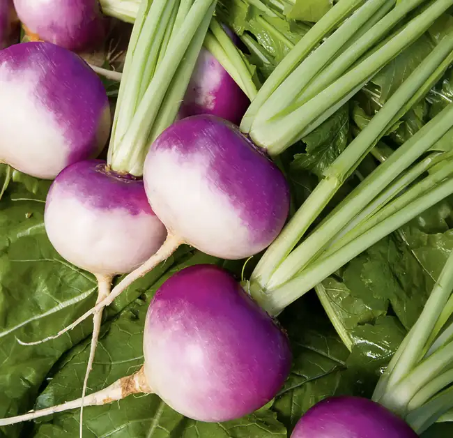 Navet nouveau ( 500g )