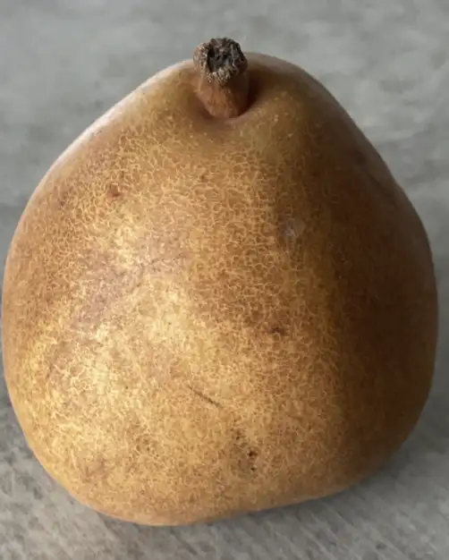 Poire Morgane ( 1 Kg )