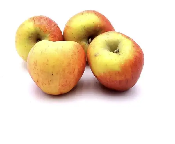 Pomme PILOT ( 1 kg )