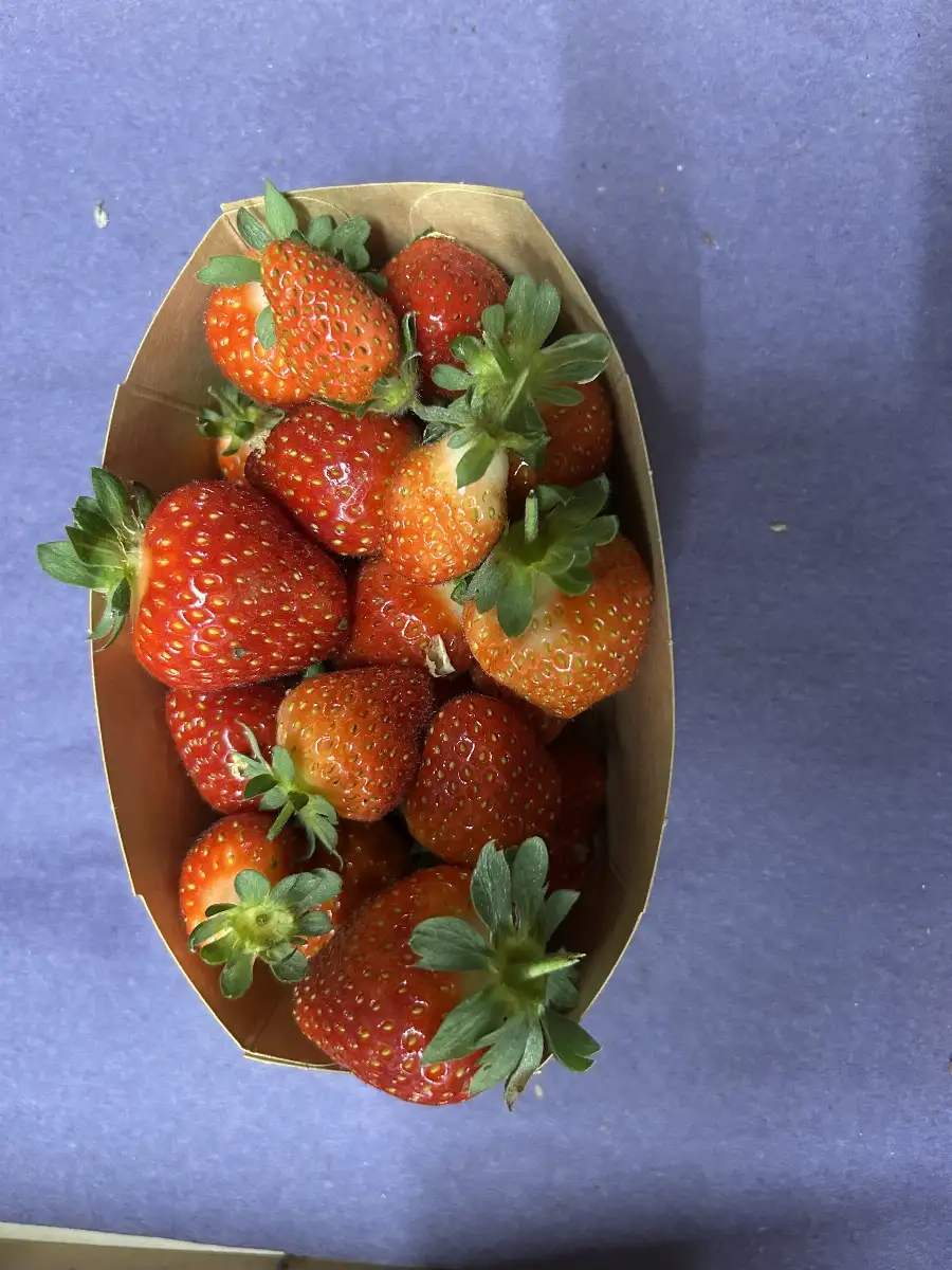 Barquette fraise 250g