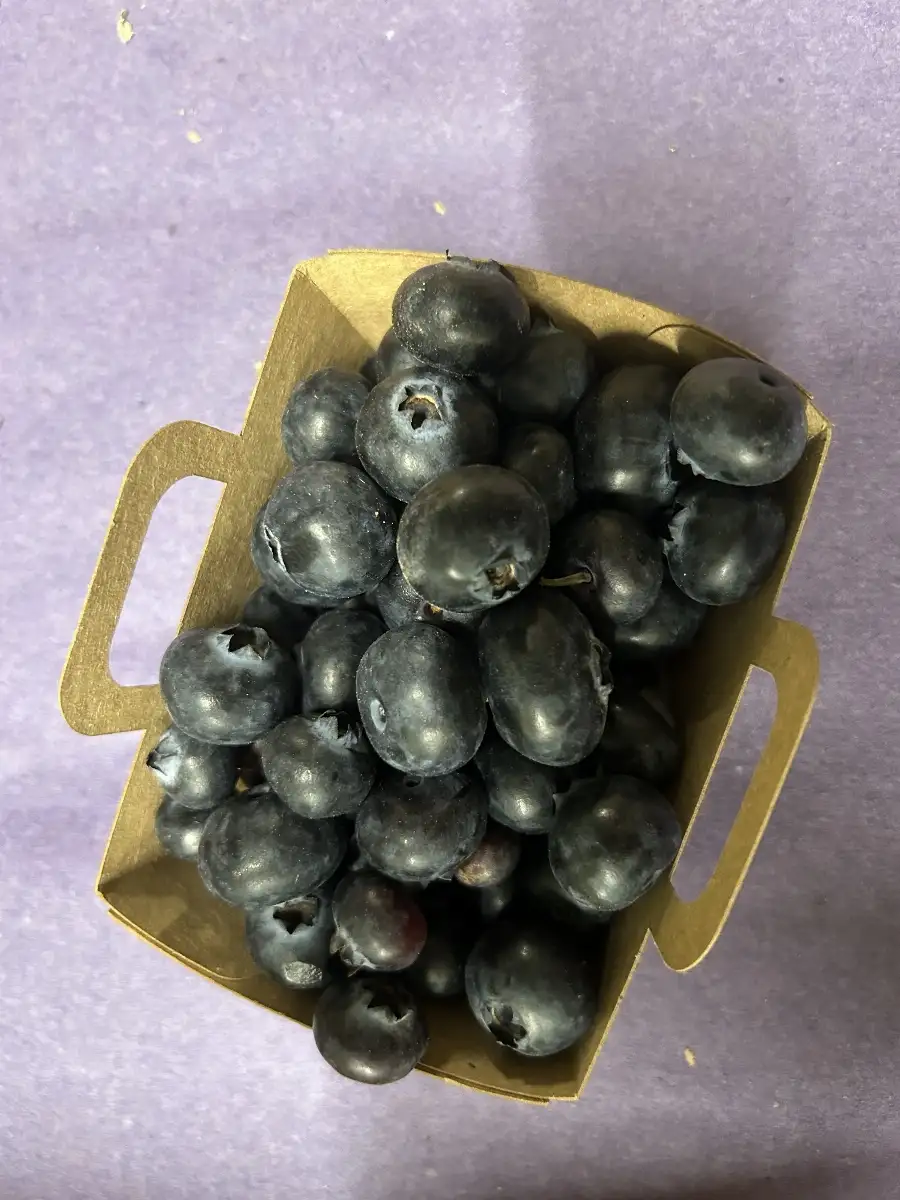 Barquette myrtille 150g