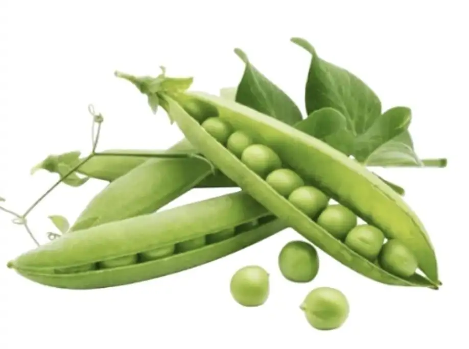 petit pois 500g