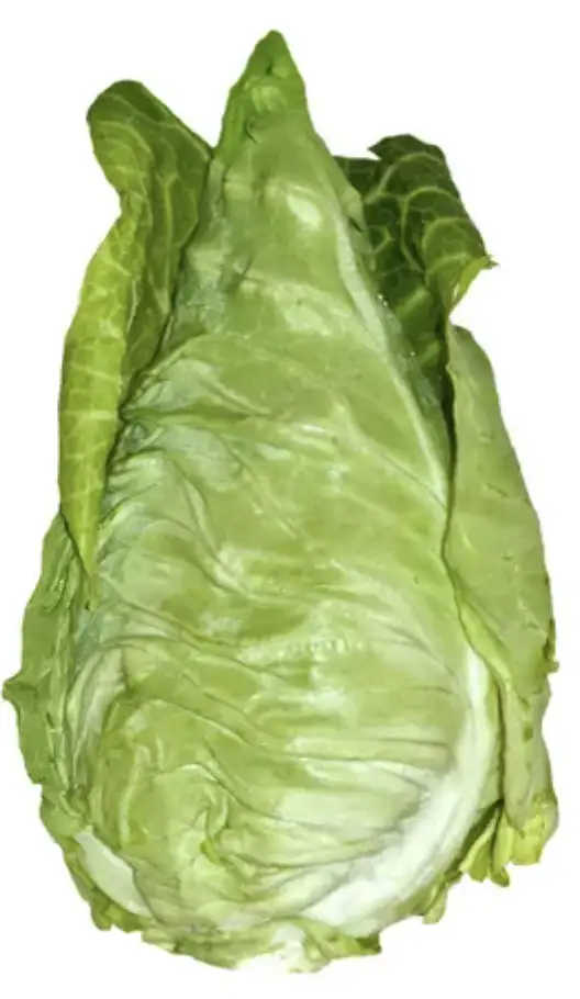 CHOU NOUVEAU POINTU 1 kg