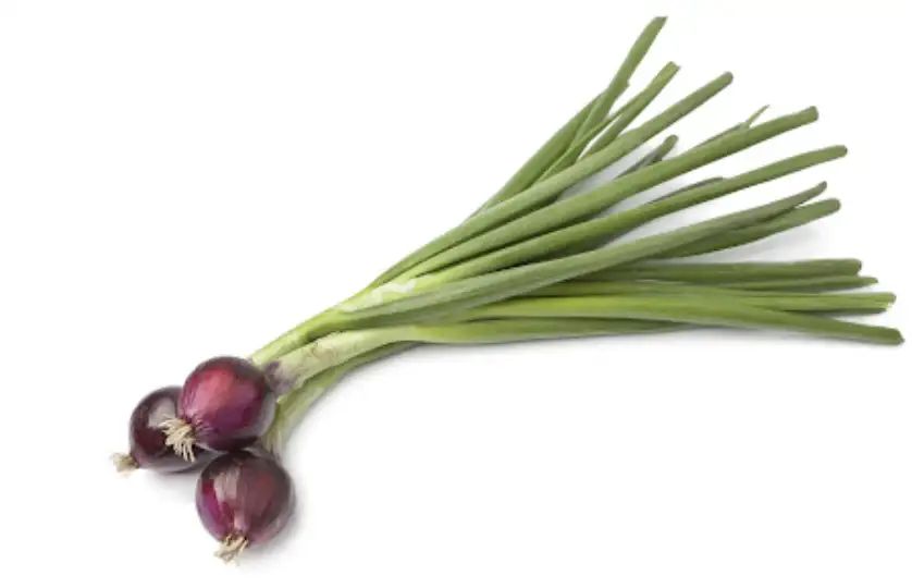 OIGNON NOUVEAU ROUGE 500g