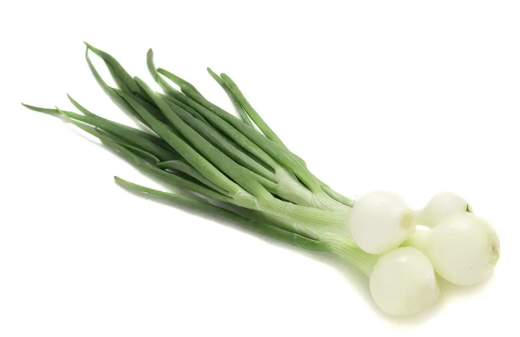 OIGNON BLANC NOUVEAU 500g