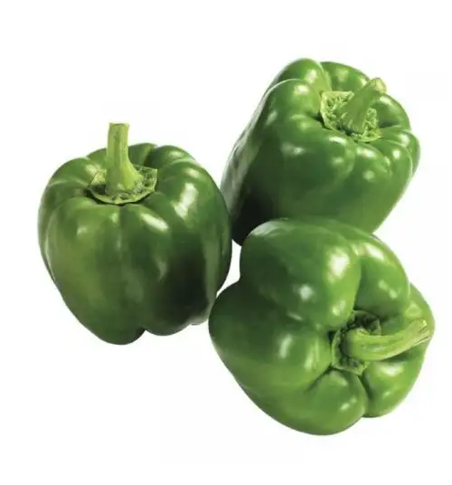POIVRON VERT 500g