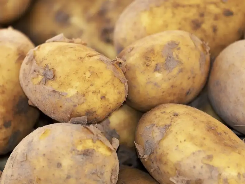 POMME DE TERRE NOUVELLE 500g