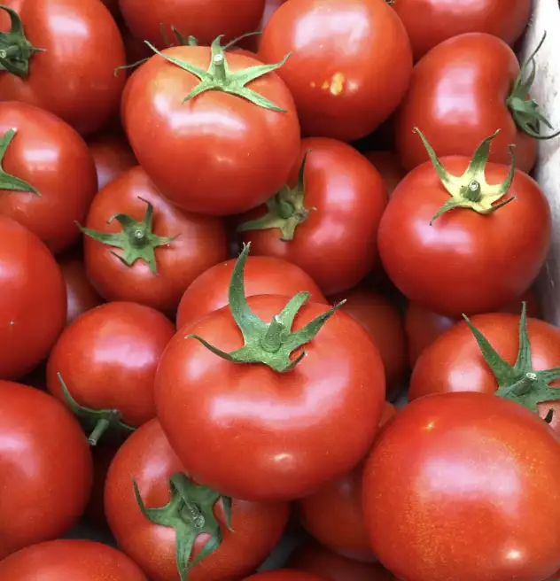 tomate ronde 1 kg