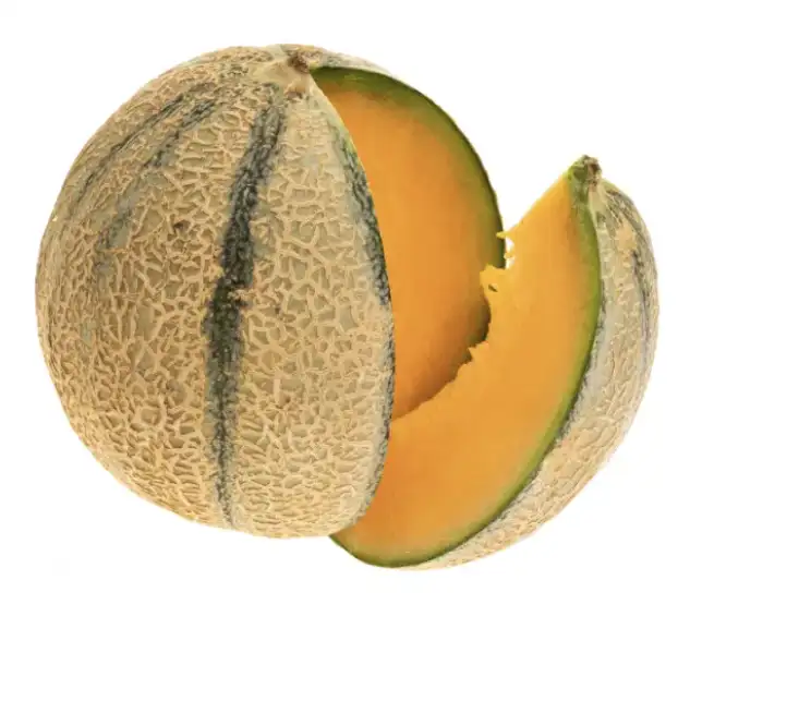 MELON 1 piece