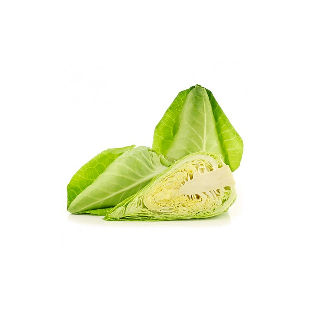 CHOU NOUVEAU POINTU 500g