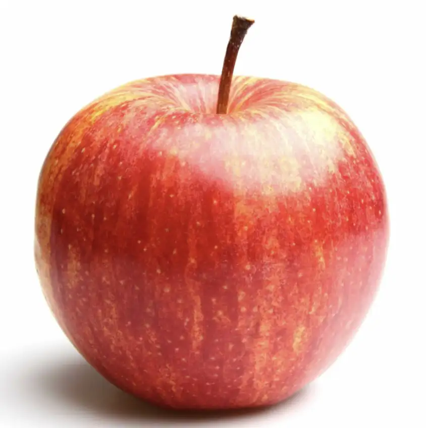 POMME PIROUETTE ( biodynamie ) 1 kg