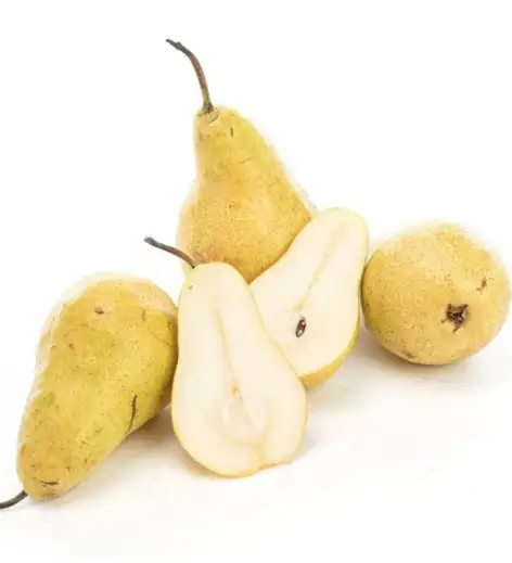 POIRE HARROW SWEEET (Biodynamie)